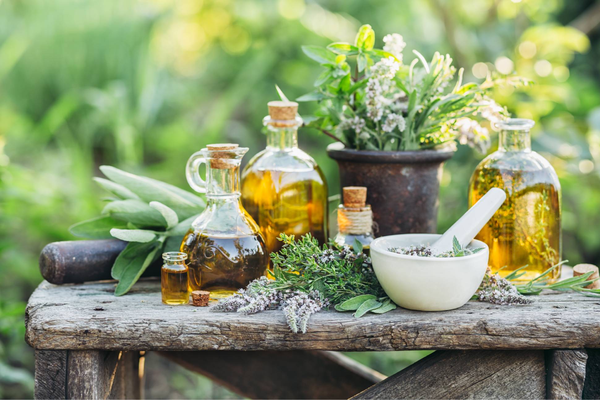 herbal shampoo