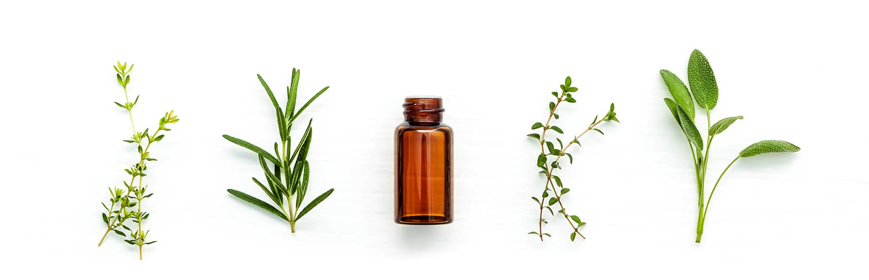 oils header image deskop