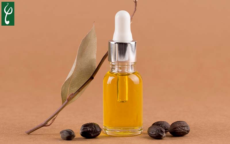 cong dung cua dau jojoba cho da 1