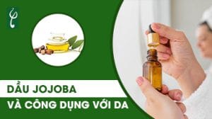 dau jojoba