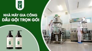 gia cong dau goi tron goi
