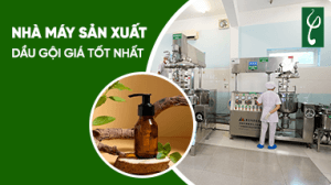 nha may san xuat
