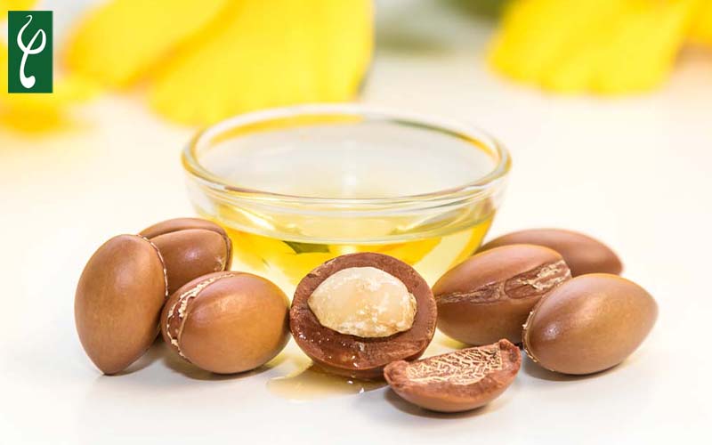 DẦU ARGAN VÀ CÔNG DỤNG TRONG SẢN XUẤT DẦU GỘI ĐẦU cong dung cua dau argan trong san xuat dau goi dau 1