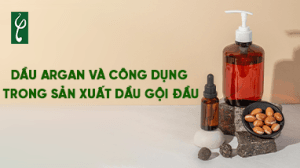 dau argan