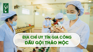 dau goi thao moc