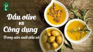 dau oliu va cong dung