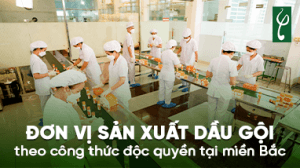 don vi sx