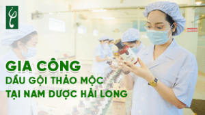 gc dau goi thao moc