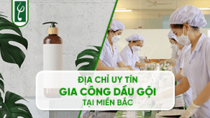 gia cong dau goi tai mien bac