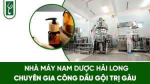 gia cong dau goi tri gau