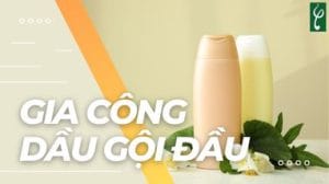 Gia cong dau goi dau
