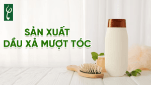 San xuat dau xa muot toc