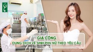 ddvs nu web
