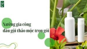 xuong gia cong dau goi thao moc tron goi