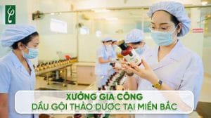 xuong gia cong