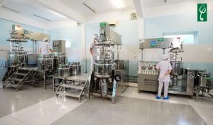Gia công sữa rửa mặt trà xanh