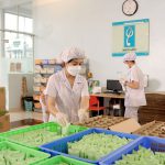 Gia công sữa rửa mặt không bọt tại Nam dược Hải Long