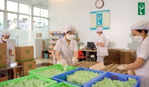 Gia công sữa rửa mặt không bọt tại Nam dược Hải Long