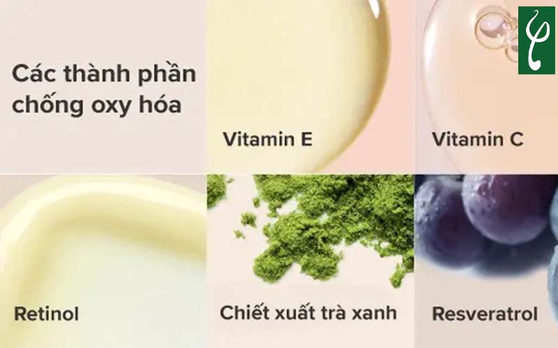 công dụng của chất chống oxy hóa với làn da