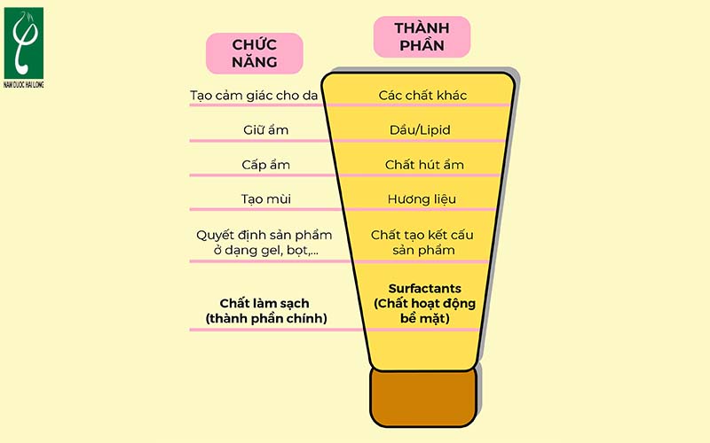 Một số thành phần phổ biến trong sữa rửa mặt da hỗn hợp