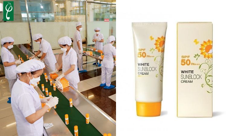 Gia công kem chống nắng hoa cúc