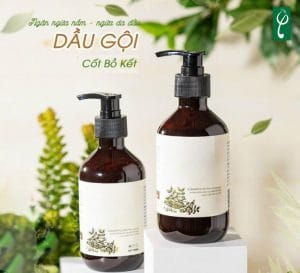 Gia công dầu gội đầu bồ kết