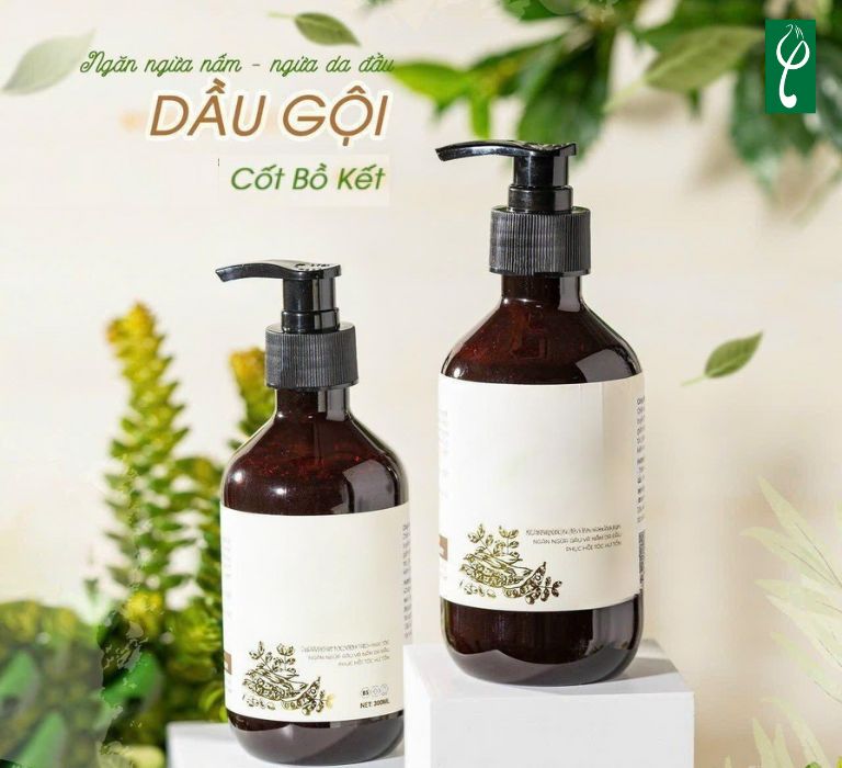 Gia công dầu gội đầu bồ kết
