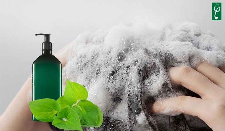 Gia công dầu gội đầu diếp cá