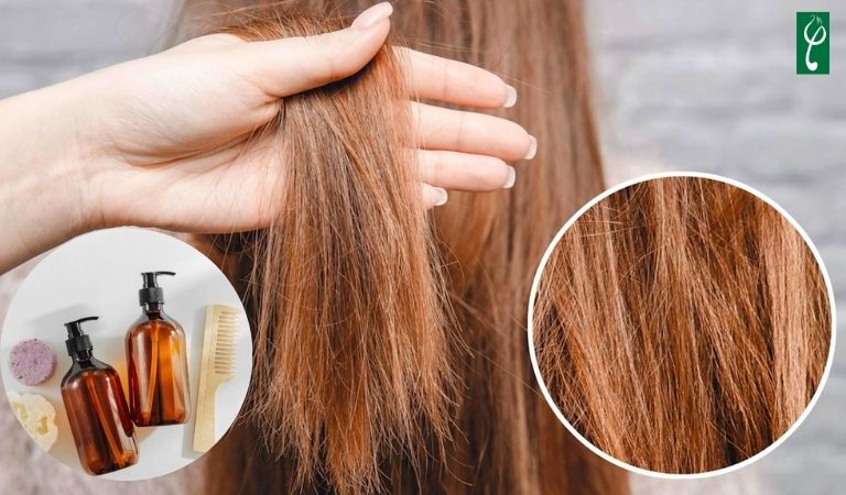Gia công dầu gội đầu trị tóc khô, xơ