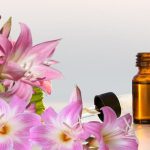 Gia công mỹ phẩm chiết xuất hoa ly