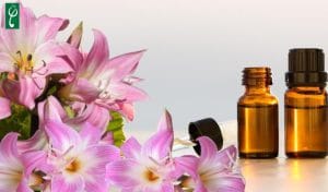 Gia công mỹ phẩm chiết xuất hoa ly
