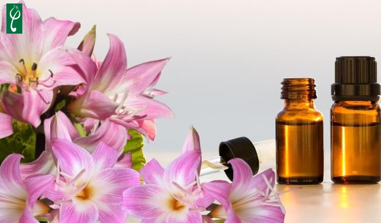 Gia công mỹ phẩm chiết xuất hoa ly