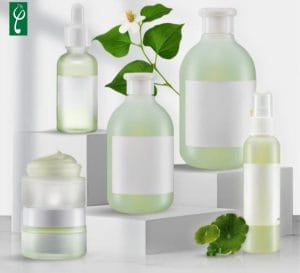 Gia công mỹ phẩm chiết xuất diếp cá