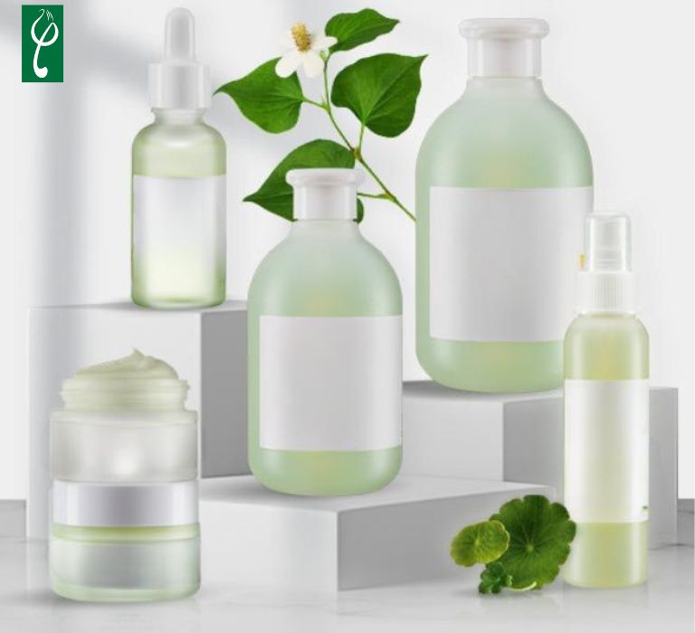 Gia công mỹ phẩm chiết xuất diếp cá