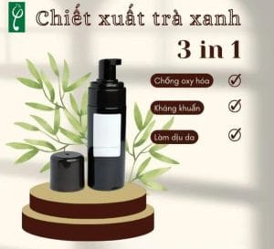 Gia công mỹ phẩm chiết xuất trà xanh