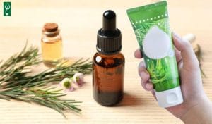 Gia công mỹ phẩm chiết xuất tràm trà