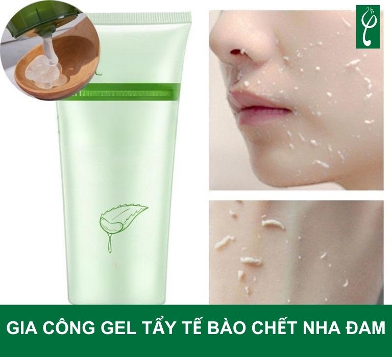 Gia công gel tẩy tế bào chết nha đam