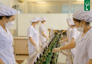 Lựa chọn đơn vị gia công dầu gội đầu Cẩm Phả uy tín