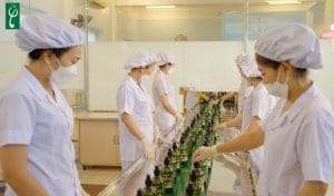 Gia công dầu gội đầu Hà Nội