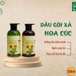 Gia công dầu gội đầu hoa cúc