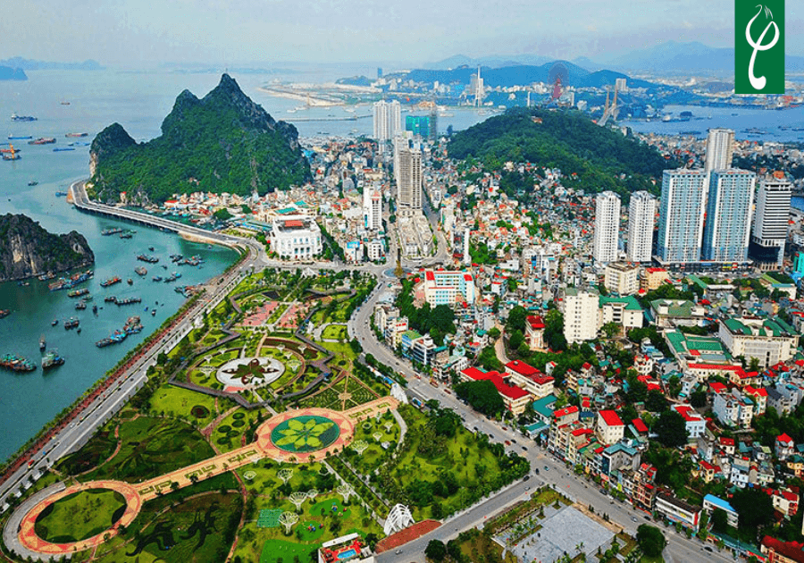 Gia công dầu gội đầu Quảng Ninh chuyên nghiệp tại Nam Dược Hải Long gia cong dau goi dau quang ninh 1 1