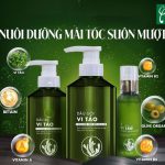 Gia công dầu gội đầu tảo biển