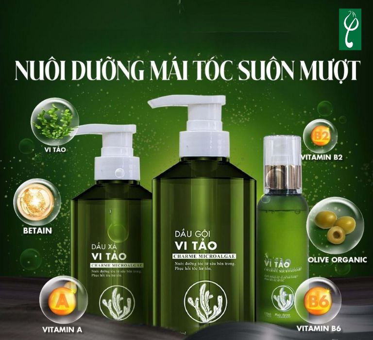 Gia công dầu gội đầu tảo biển