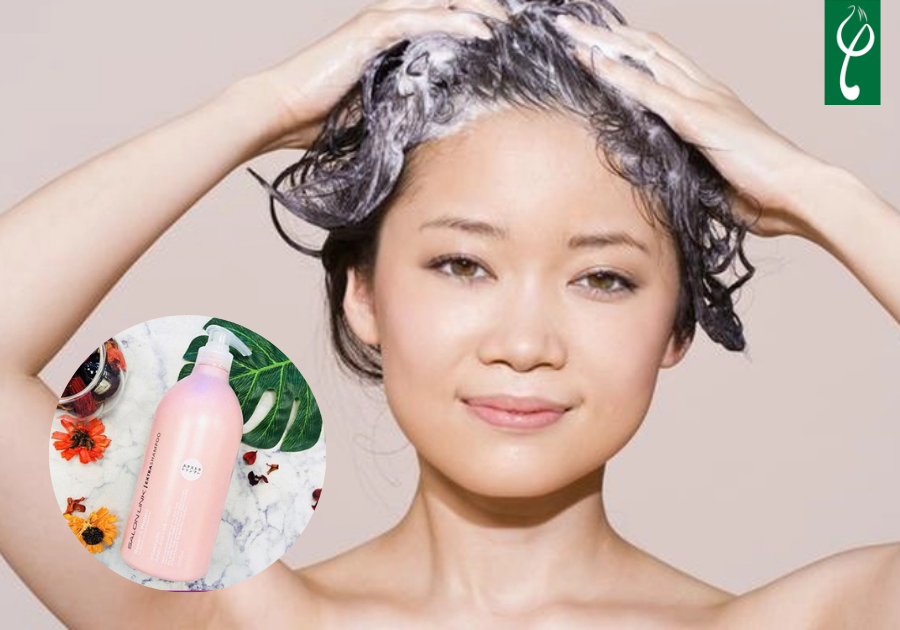 Gia công dầu gội đầu Thanh Hóa trọn gói, chuyên nghiệp