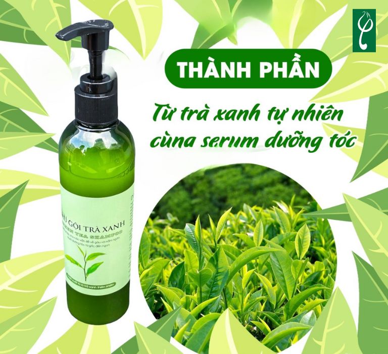 Gia công dầu gội đầu trà xanh