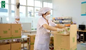 gia công dầu gội đầu Vĩnh Phúc
