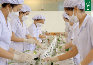 Lựa chọn đơn vị gia công gel tẩy tế bào chết Đồng Nai uy tín