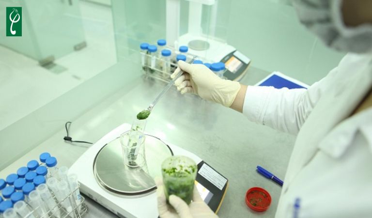 Gia công gel tẩy tế bào chết Hà Tĩnh