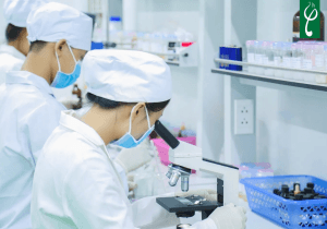 Nam dược Hải Long gia công gel tẩy tế bào chết Hưng Yên uy tín