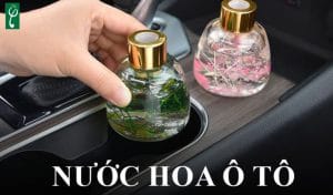 Gia công nước hoa ô tô